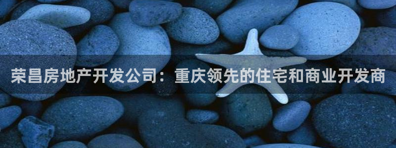 万向娱乐老板