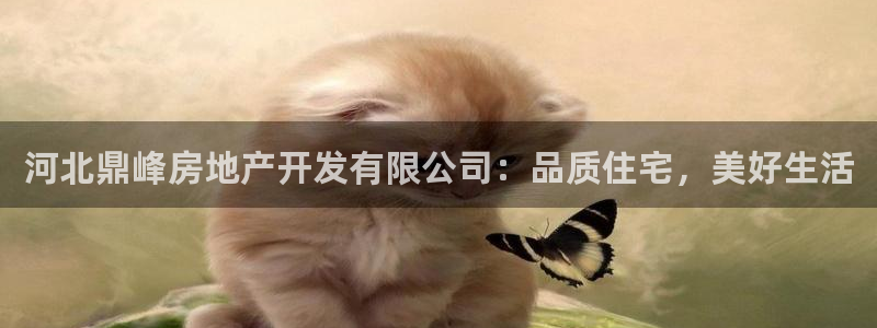 万向娱乐的联系方式是什么