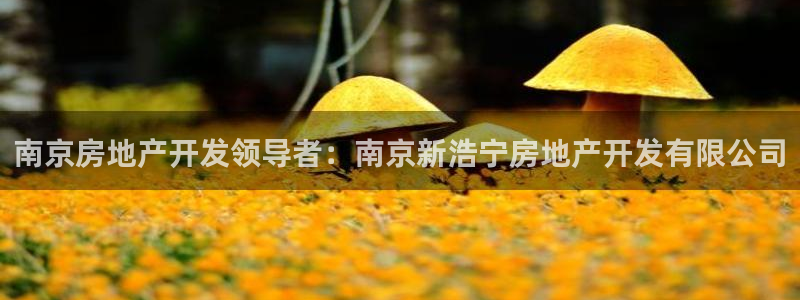 万向娱乐的联系方式是什么