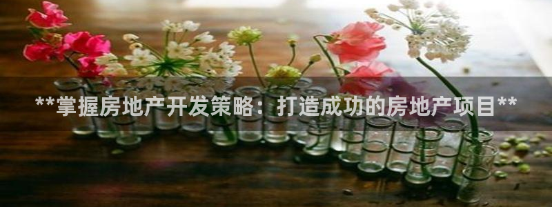 万向娱乐官网网址