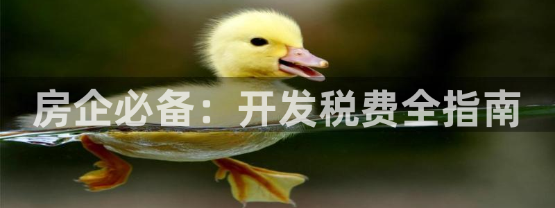 万向娱乐官网网址