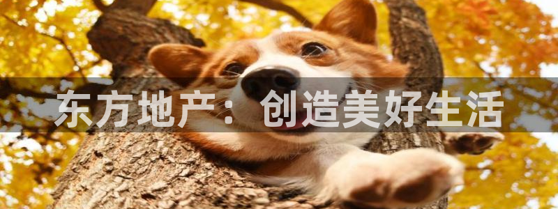 万向娱乐平台代理