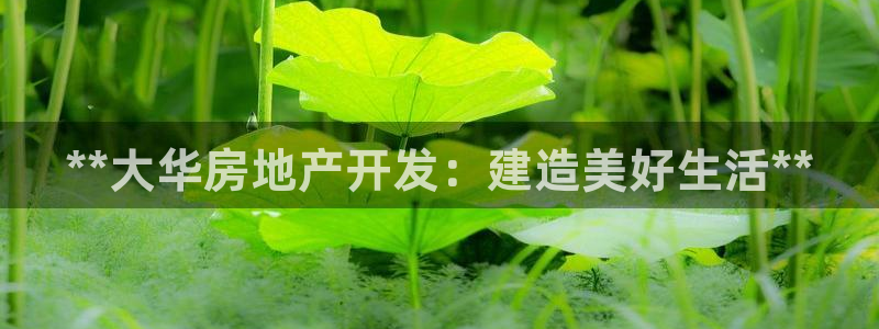 万向娱乐app下载苹果版