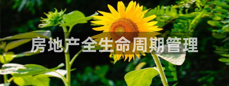 万向娱乐登陆官网