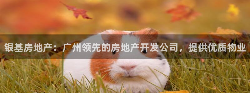 万向娱乐平台怎么下载