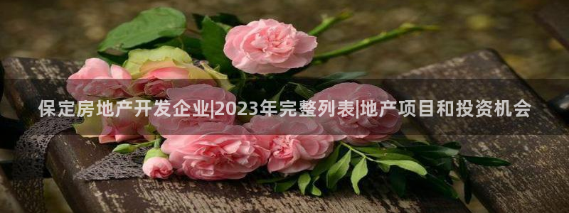 万能娱乐代理网址