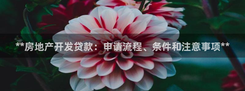 万向娱乐公司官网首页