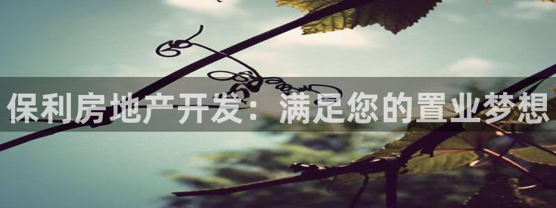 万向娱乐平台代理多少钱一个月