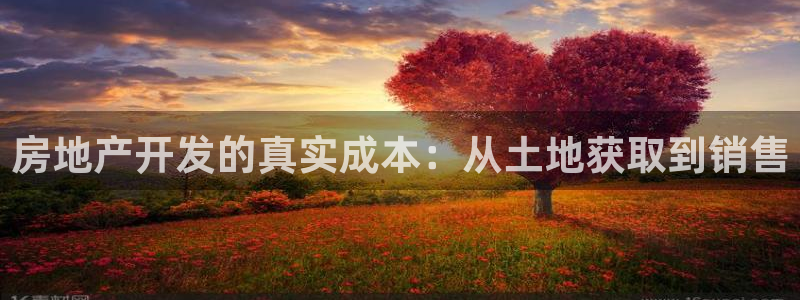 万向娱乐怎么样