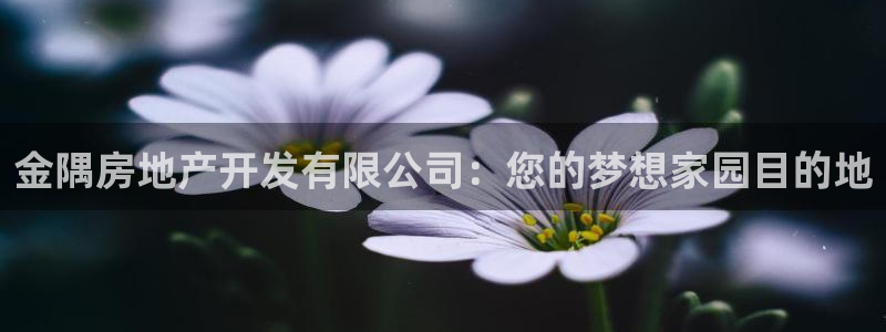 万向娱乐的494o3 主管