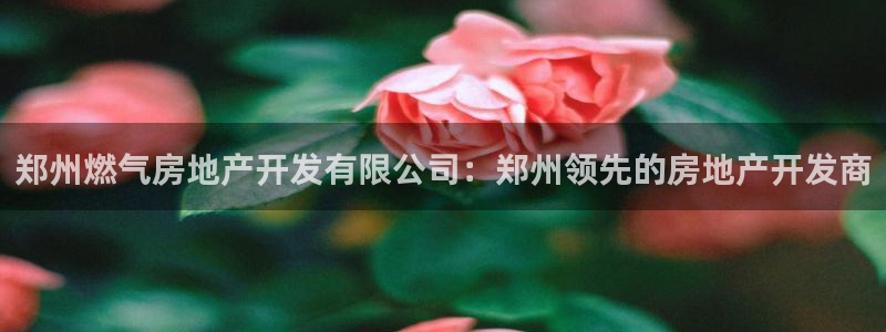 万向娱乐的联系方式