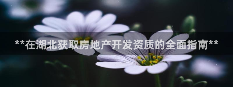 万向娱乐app下载苹果版