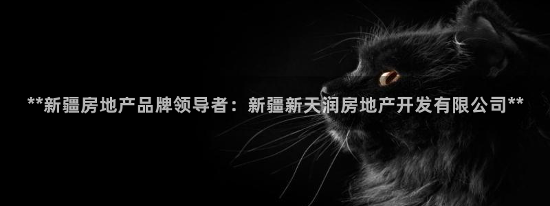 万向娱乐平台代理多少钱