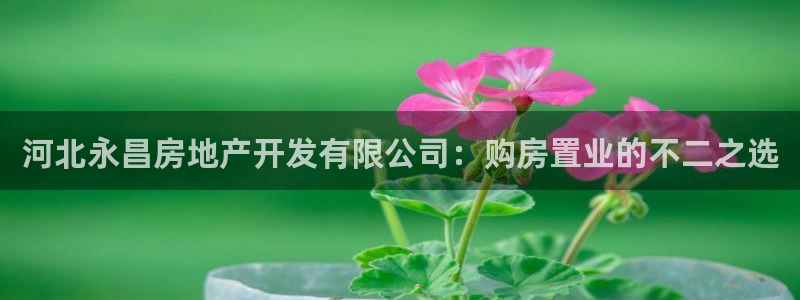 万向娱乐平台下载安装