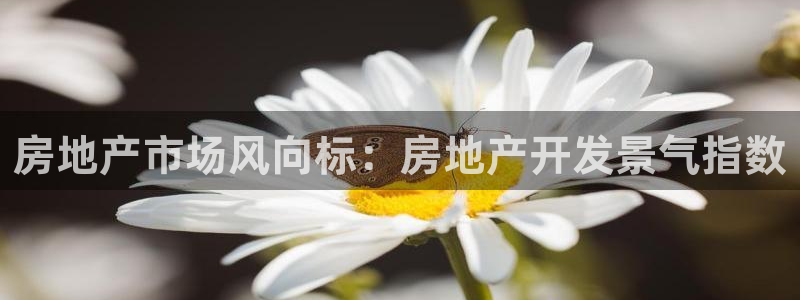 万向娱乐官网网址
