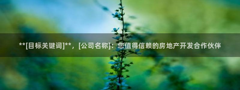万向娱乐平台招商骗局