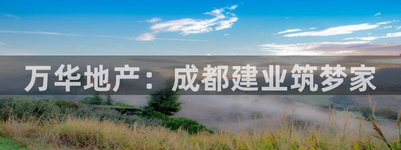 万向娱乐技术
