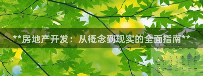 万向娱乐技术分享