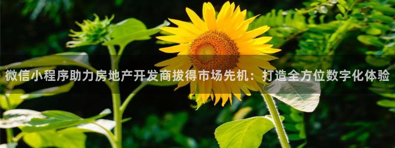 万向娱乐平台代理怎么样可靠吗