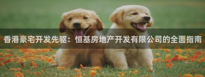 万向娱乐平台好不