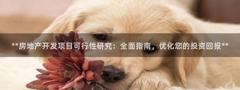 万向娱乐平台下载安装手机版