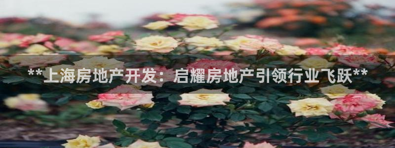 万象游戏代理