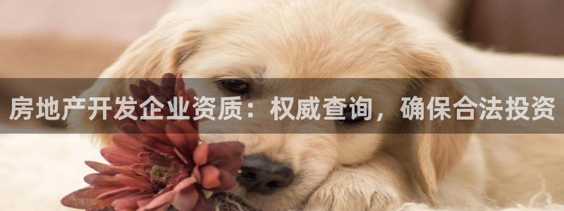 万向娱乐技术分享