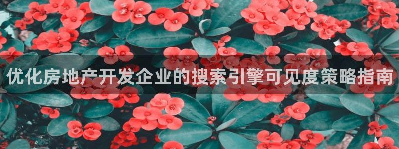 万向娱乐总代