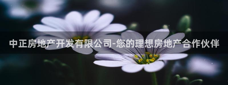 万向娱乐平台代理怎么做的
