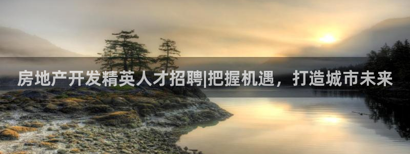 万向娱乐是野鸡台吗