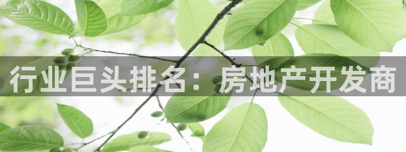 万向娱乐平台好不