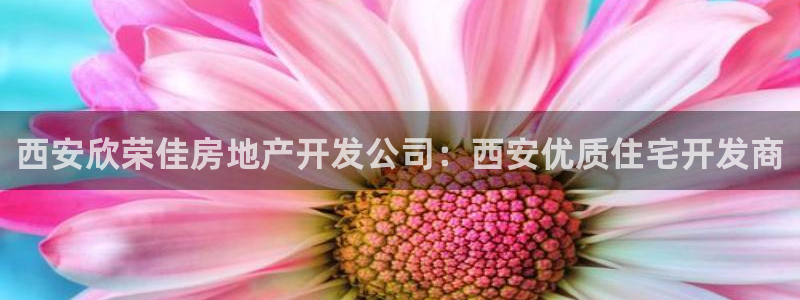 万向娱乐平台怎么下载