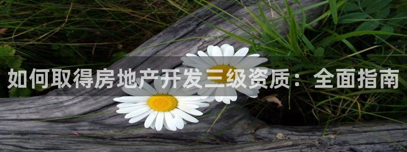 万向娱乐老板