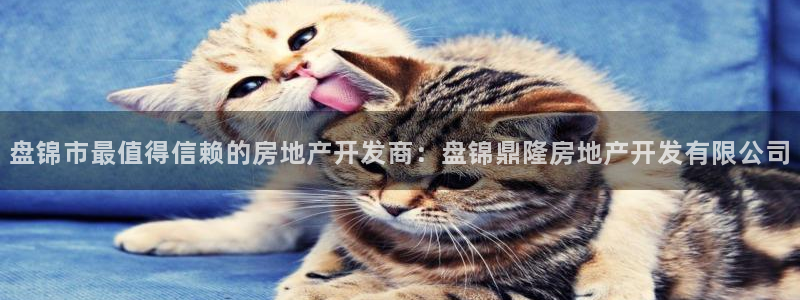 万向娱乐官网下载安装
