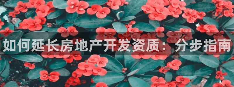万向娱乐的联系方式是什么