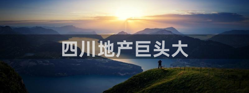万向娱乐官网网址是什么