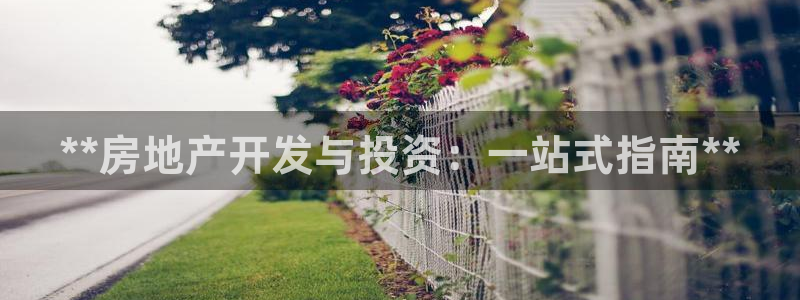 万向娱乐老板