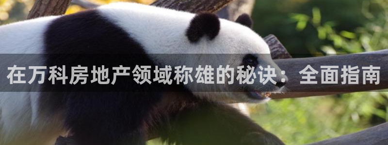 万向娱乐官网