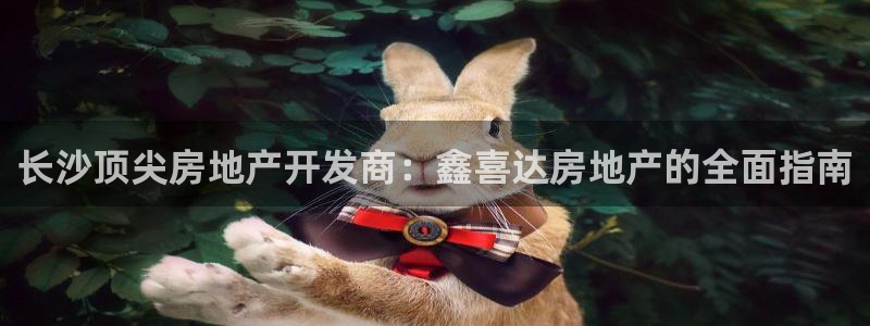 万向娱乐平台代理多少钱一个月