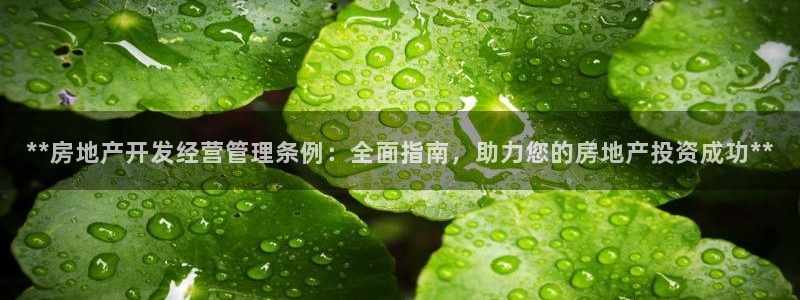 万向娱乐公司 585.34I 娱乐