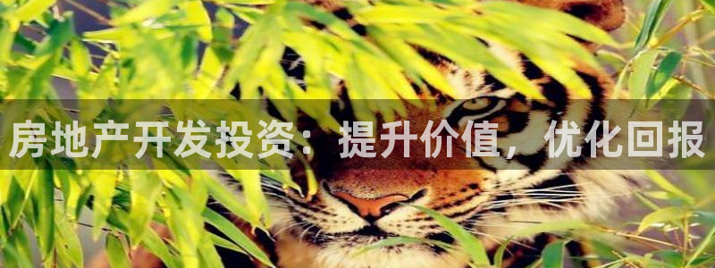 万向娱乐平台代理怎么样