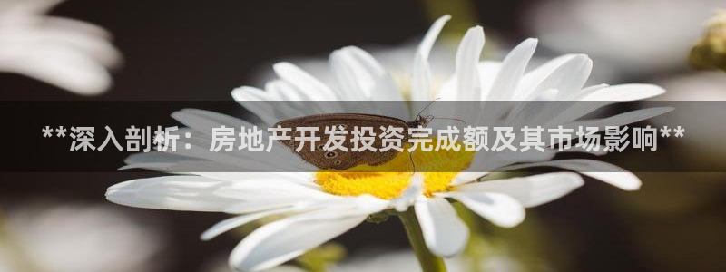 万向娱乐平台好不