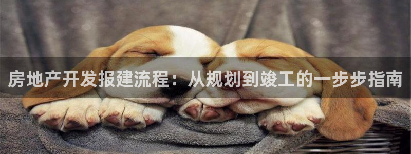 万向娱乐网址是什么