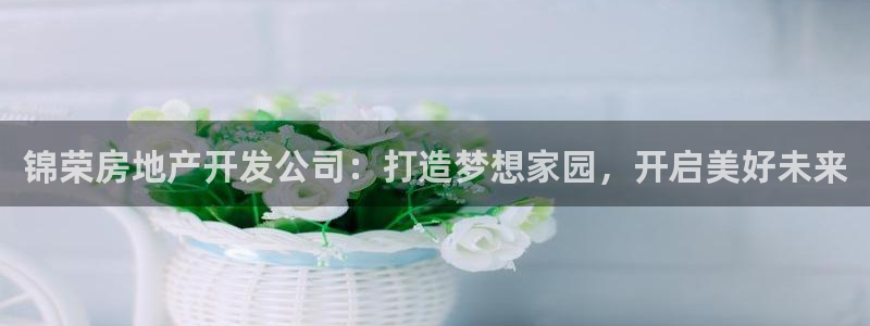 万向娱乐平台代理怎么做