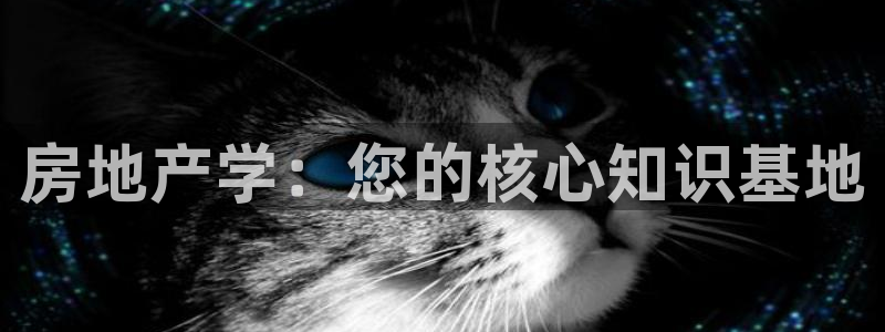 万向娱乐的联系方式有哪些