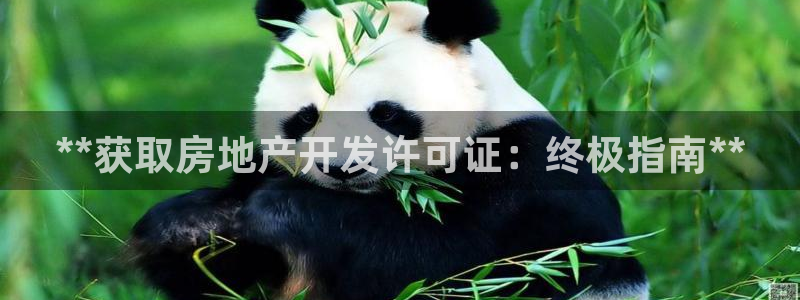 万象游戏代理