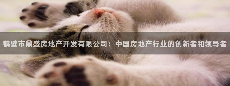 万向娱乐平台代理多少钱一个