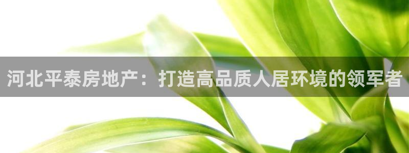 万向娱乐