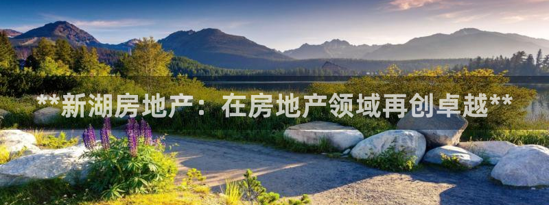 万向娱乐官网网址是什么