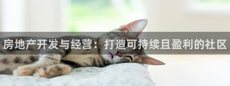 万向娱乐网址是什么